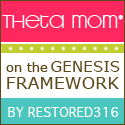 Check out the Genesis Theme Framework Genesis Theme Framework
