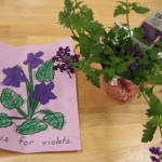 V is for Violets: The Epic Parent Fail