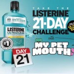The 21 Day Challenge is On